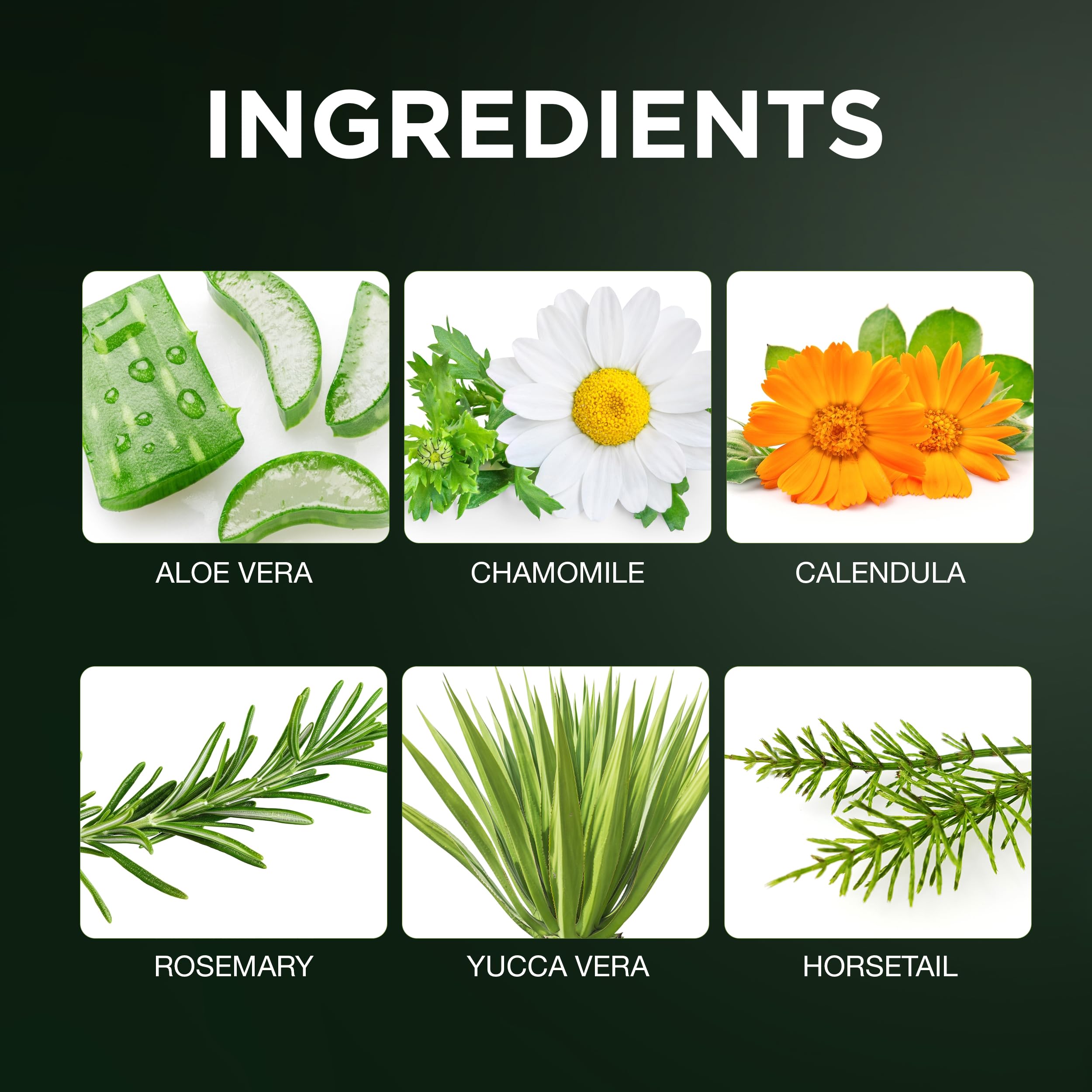 Clubman Pinaud Beard and Body Wash – Refreshing Beard Wash & Dual-Purpose Cleanser for Beard and Skin, Men’s Aftershave, 14.5 fl oz - Image 6